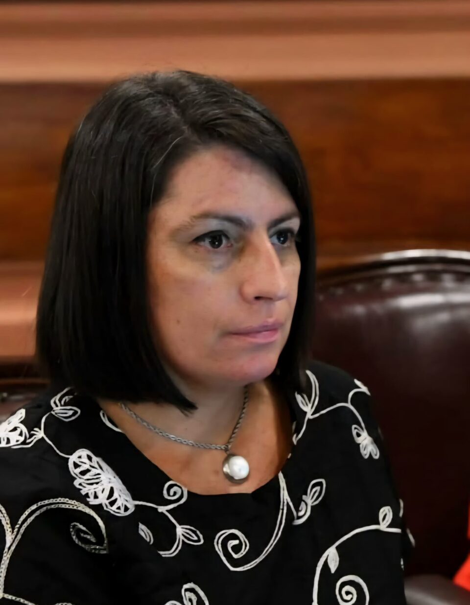 “Los que fundieron la provincia y destruyeron el país, ahora vienen a dar lecciones”
