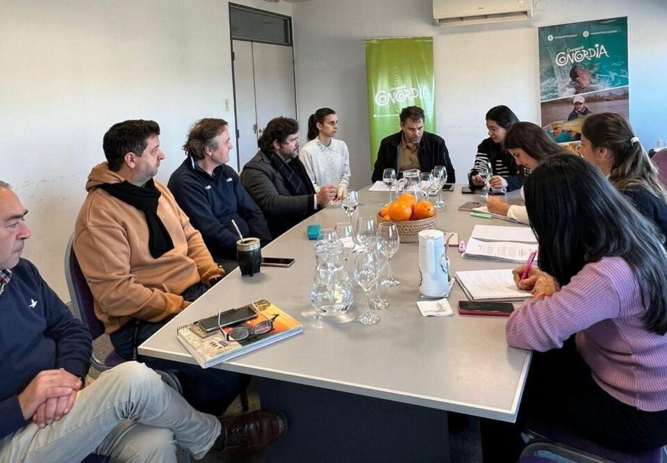 Concordia avanza en una norma que regule alquileres temporales con fines turísticos