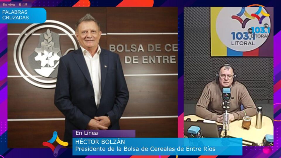 Retenciones e incertidumbre: por qué el campo no liquida sus granos