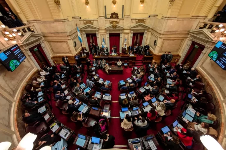 Tensión en el Senado: el oficialismo inicia el debate de la reforma electoral sin el aval de sus aliados