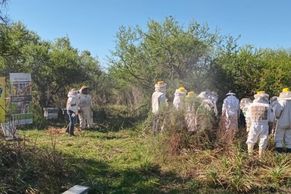 Productores de Entre Ríos se Capacitan para Potenciar la Apicultura
