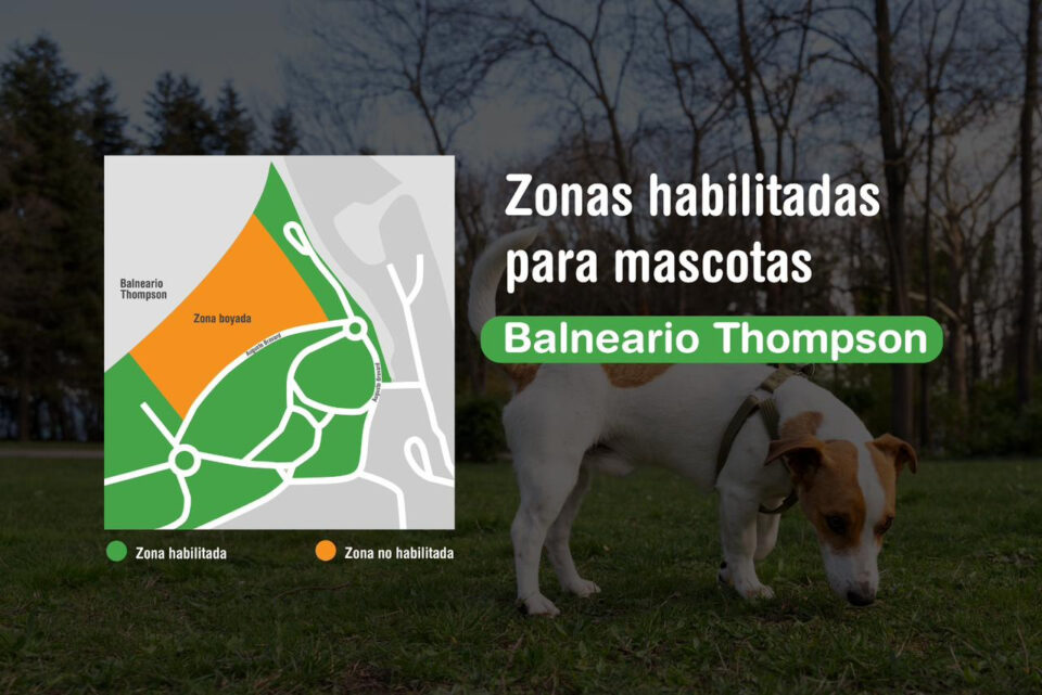 Ingreso de mascotas: el Municipio precisó los sectores habilitados en el Thompson