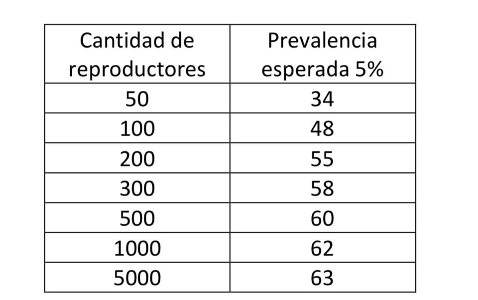 Opinión: Otra vez el ajuste cae sobre el productor chico