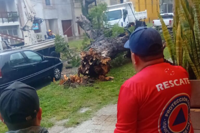 El Municipio atiende las contingencias en la ciudad por la lluvia y viento