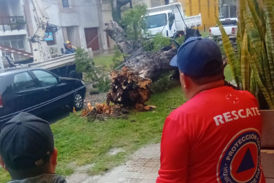 El Municipio atiende las contingencias en la ciudad por la lluvia y viento