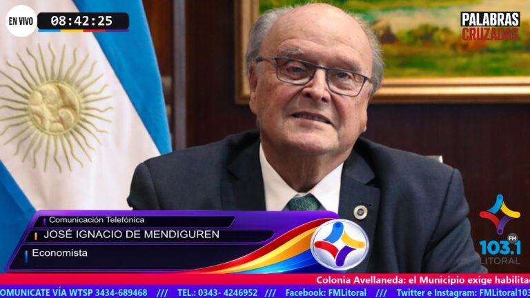 José Ignacio de Mendiguren alertó sobre la crisis industrial: "El RIGI propone un modelo extractivista más cercano a África que al desarrollo"