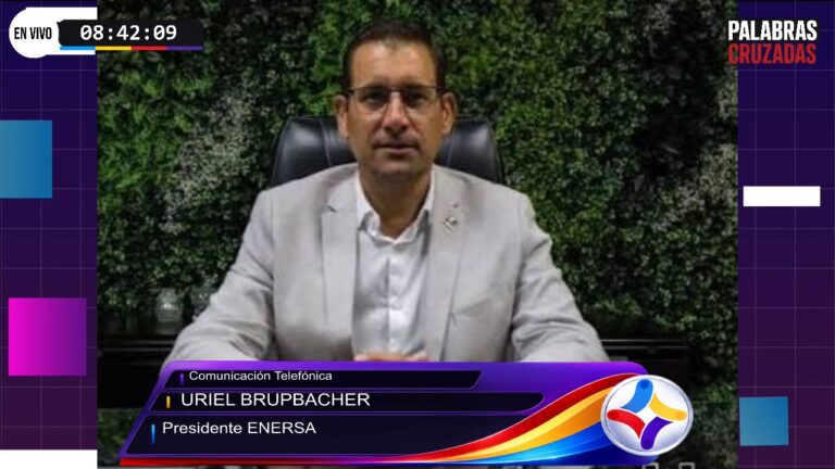 Transición energética: Entre Ríos proyecta medidores inteligentes y tarifas por franjas horarias para la movilidad eléctrica