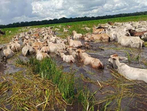 Presión del campo: productores de Entre Ríos exigen planes urgentes ante la llegada del "Súper El Niño"